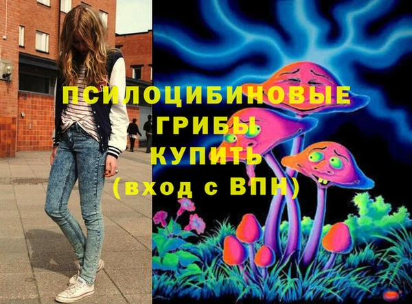 шишки Баксан